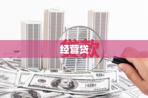 苑里经营贷