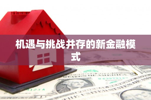 苑里机遇与挑战并存的新金融模式
