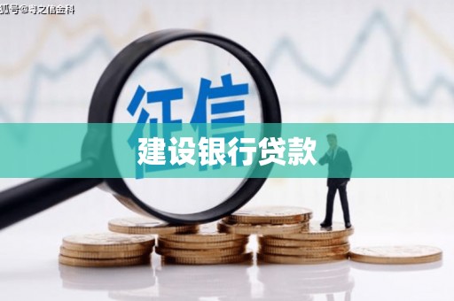 苑里建设银行贷款