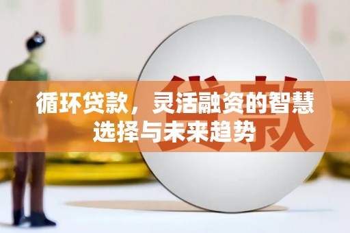 苑里循环贷款，灵活融资的智慧选择与未来趋势