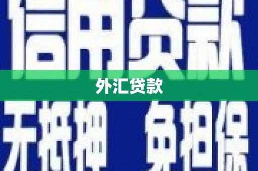 苑里外汇贷款