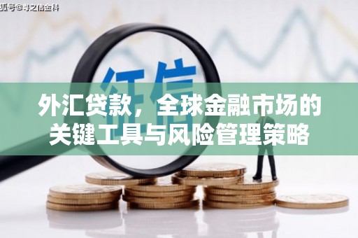 苑里外汇贷款，全球金融市场的关键工具与风险管理策略