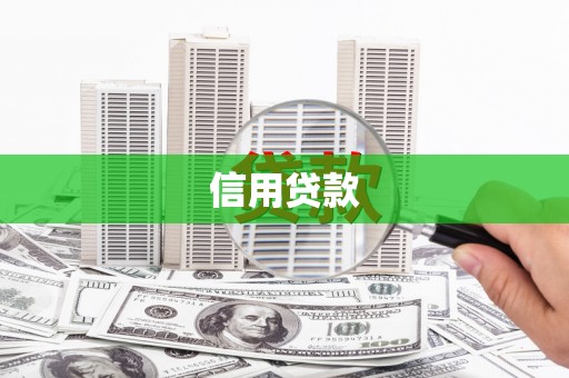 苑里信用贷款