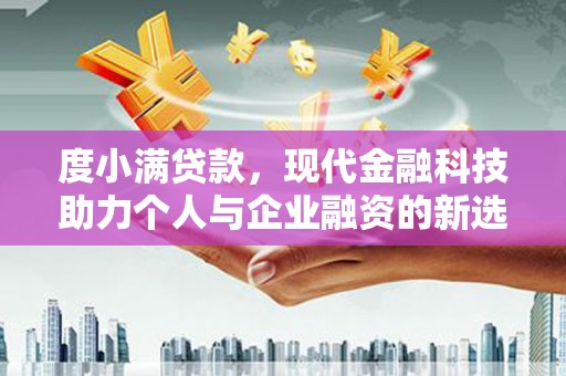 苑里度小满贷款，现代金融科技助力个人与企业融资的新选择