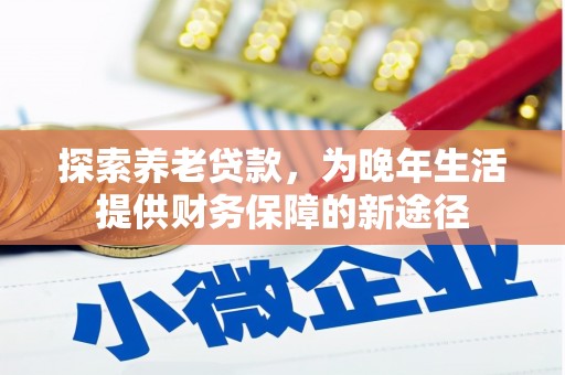 苑里探索养老贷款，为晚年生活提供财务保障的新途径