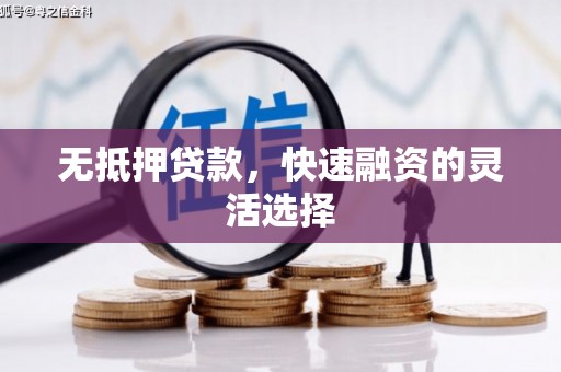 苑里无抵押贷款，快速融资的灵活选择