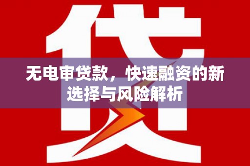 苑里无电审贷款，快速融资的新选择与风险解析