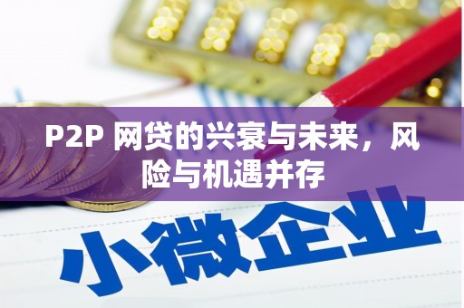 苑里P2P 网贷的兴衰与未来，风险与机遇并存