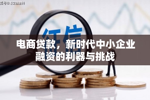 苑里电商贷款，新时代中小企业融资的利器与挑战