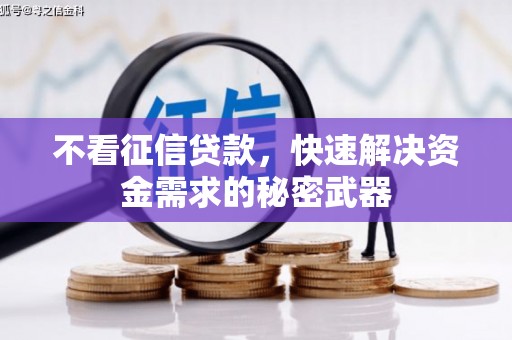 苑里不看征信贷款，快速解决资金需求的秘密武器