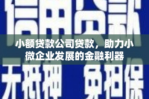 苑里小额贷款公司贷款，助力小微企业发展的金融利器