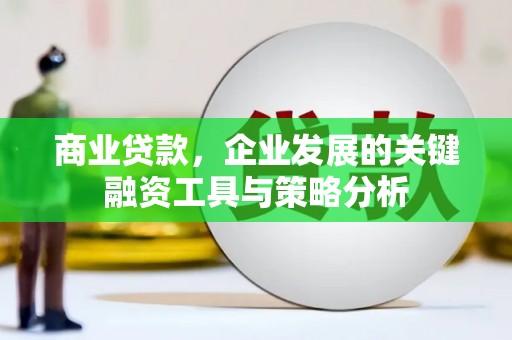 苑里商业贷款，企业发展的关键融资工具与策略分析