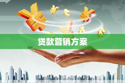 苑里贷款营销方案