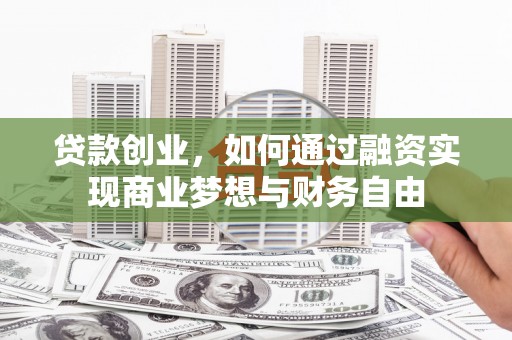 苑里贷款创业，如何通过融资实现商业梦想与财务自由