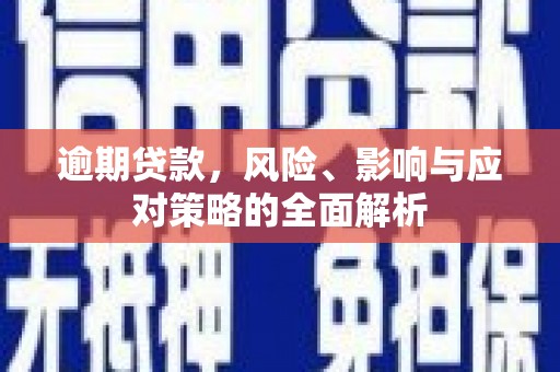 苑里逾期贷款，风险、影响与应对策略的全面解析