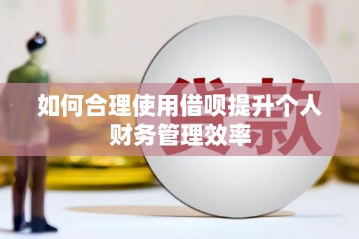 苑里如何合理使用借呗提升个人财务管理效率