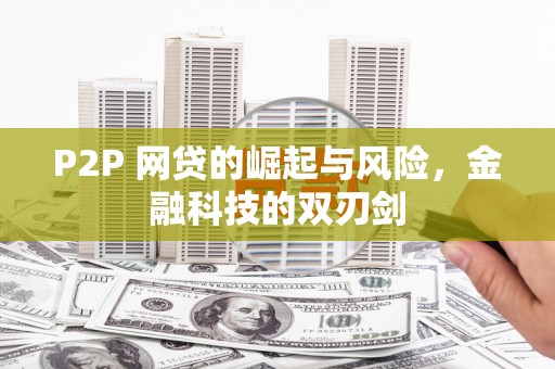 苑里P2P 网贷的崛起与风险，金融科技的双刃剑