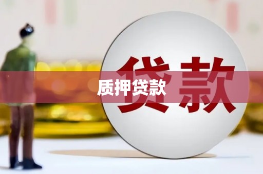 苑里质押贷款