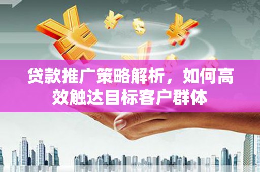 苑里贷款推广策略解析，如何高效触达目标客户群体