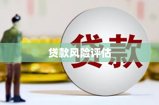 苑里贷款风险评估