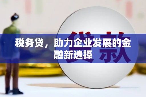 苑里税务贷，助力企业发展的金融新选择
