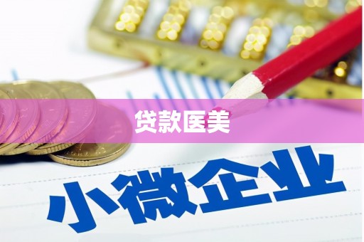 苑里贷款医美