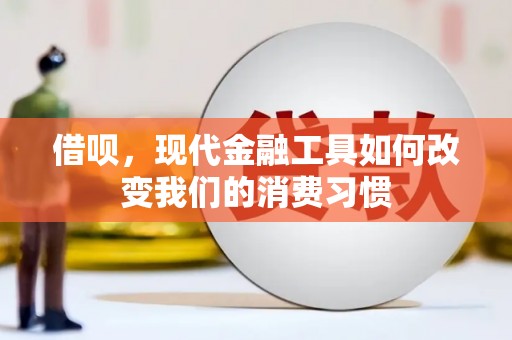 苑里借呗，现代金融工具如何改变我们的消费习惯