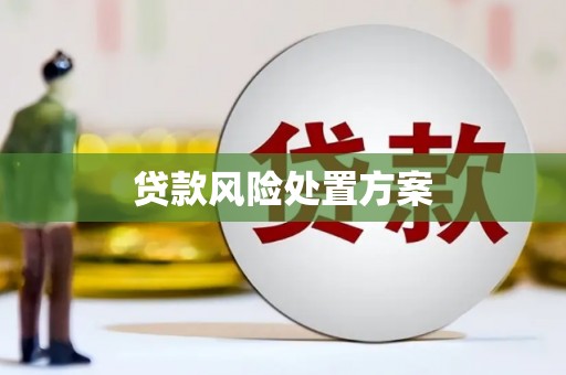 苑里贷款风险处置方案