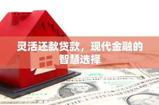 苑里灵活还款贷款，现代金融的智慧选择