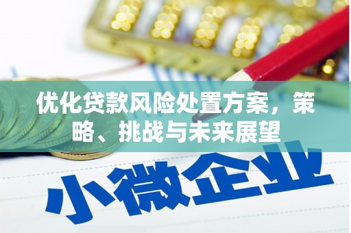苑里优化贷款风险处置方案，策略、挑战与未来展望