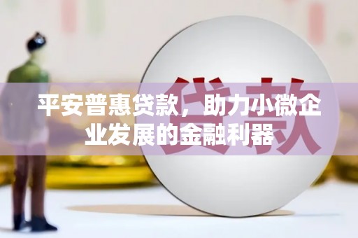 苑里平安普惠贷款，助力小微企业发展的金融利器