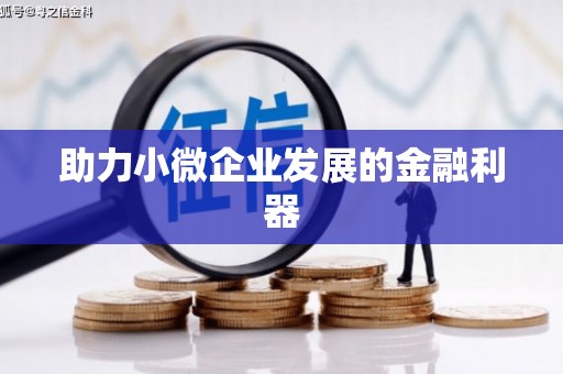 苑里助力小微企业发展的金融利器