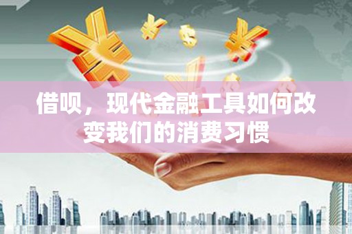 苑里借呗，现代金融工具如何改变我们的消费习惯