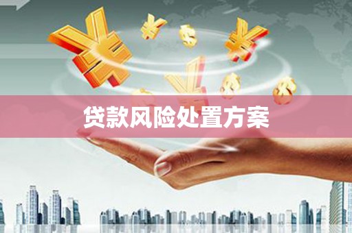 苑里贷款风险处置方案