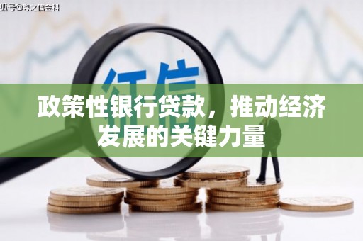 苑里政策性银行贷款，推动经济发展的关键力量