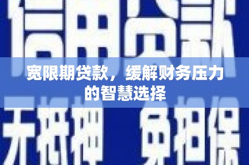 苑里宽限期贷款，缓解财务压力的智慧选择