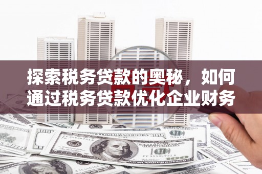 苑里探索税务贷款的奥秘，如何通过税务贷款优化企业财务