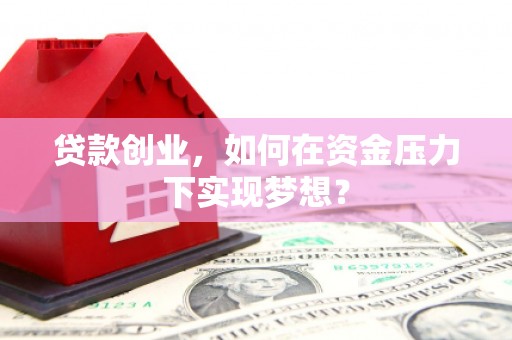 苑里贷款创业，如何在资金压力下实现梦想？