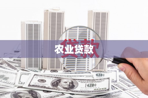苑里农业贷款