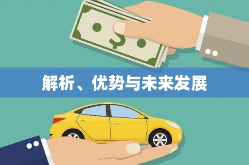 苑里解析、优势与未来发展