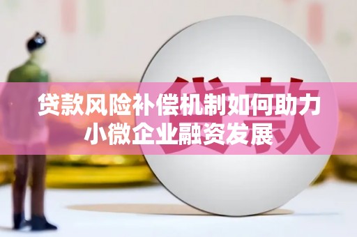 苑里贷款风险补偿机制如何助力小微企业融资发展