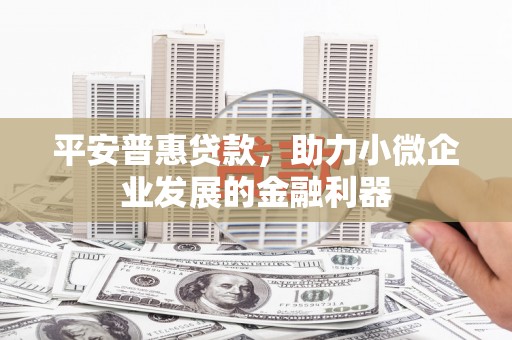 苑里平安普惠贷款，助力小微企业发展的金融利器