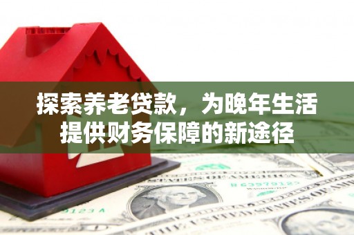 苑里探索养老贷款，为晚年生活提供财务保障的新途径