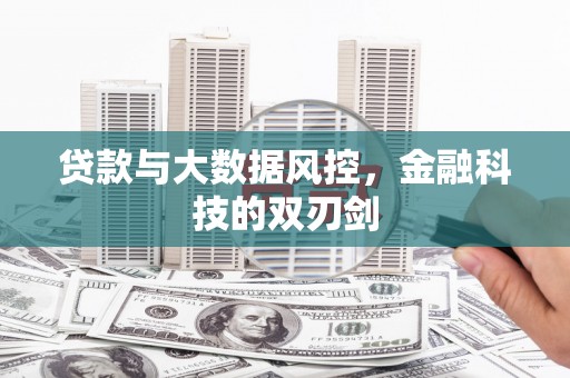 苑里贷款与大数据风控，金融科技的双刃剑