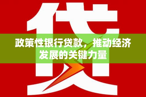 苑里政策性银行贷款，推动经济发展的关键力量