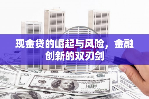苑里现金贷的崛起与风险，金融创新的双刃剑
