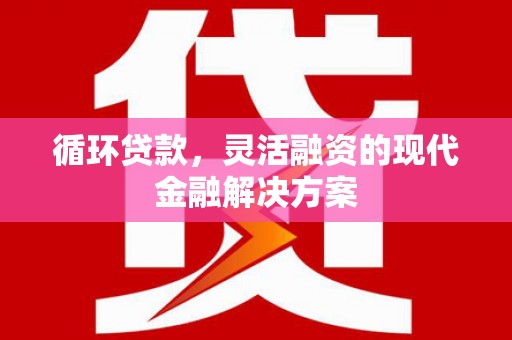 苑里循环贷款，灵活融资的现代金融解决方案