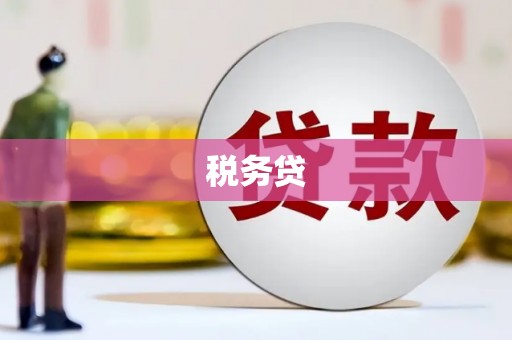 苑里税务贷