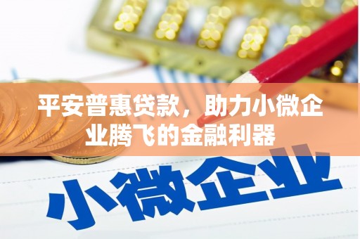 苑里平安普惠贷款，助力小微企业腾飞的金融利器