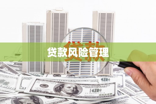 苑里贷款风险管理